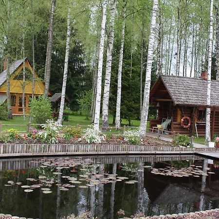 Holiday Home Bērzlejas Upesgriva Exterior foto
